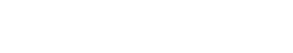 Logo van Neeleman
